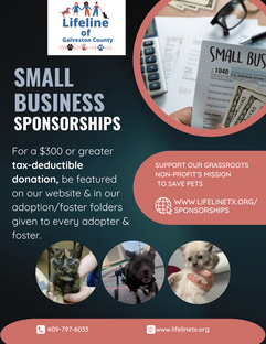 Small Business Sponsorship - Lifeline of Galveston County